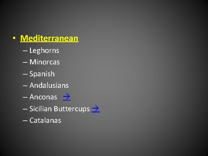  • Mediterranean – Leghorns – Minorcas – Spanish – Andalusians – Anconas –