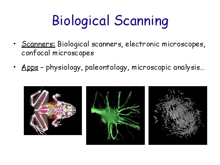 Biological Scanning • Scanners: Biological scanners, electronic microscopes, confocal microscopes • Apps – physiology,