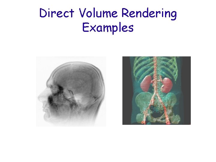 Direct Volume Rendering Examples 