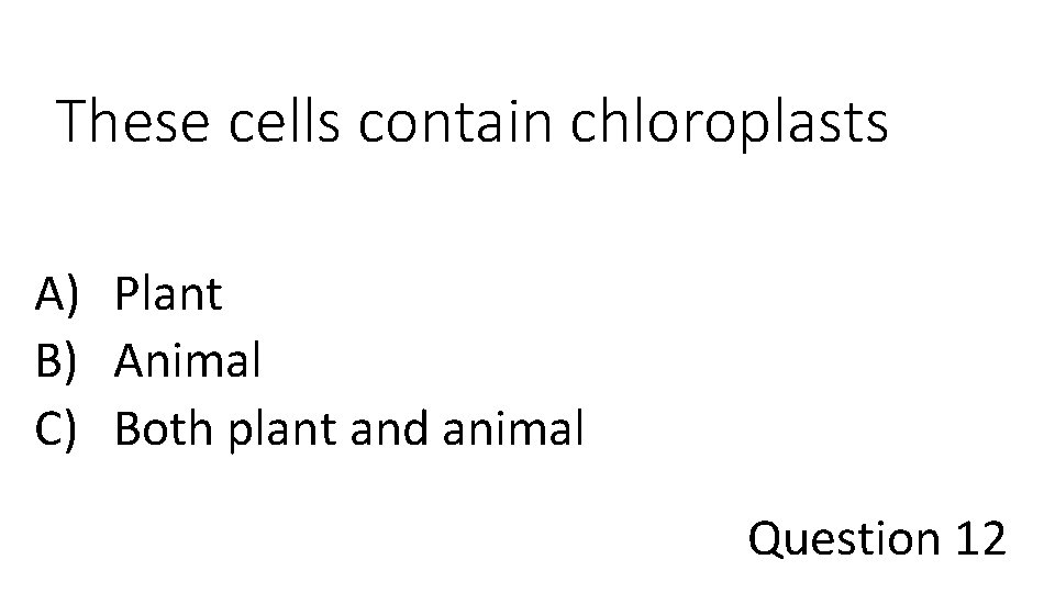 These cells contain chloroplasts A) Plant B) Animal C) Both plant and animal Question