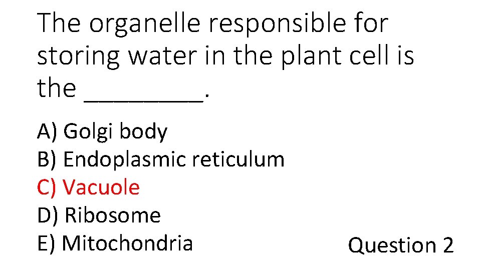 The organelle responsible for storing water in the plant cell is the ____. A)