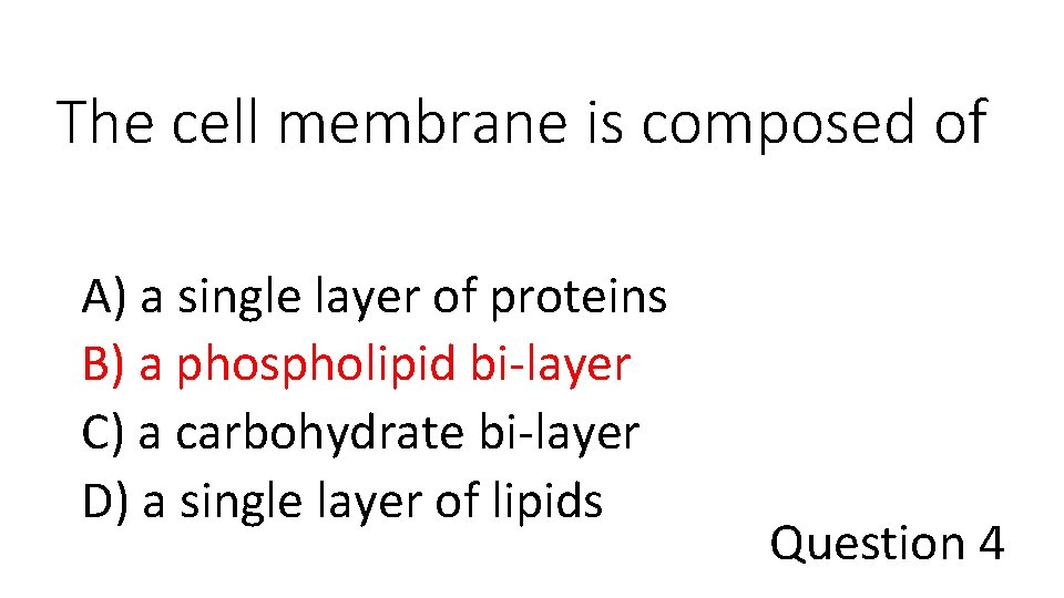 The cell membrane is composed of A) a single layer of proteins B) a