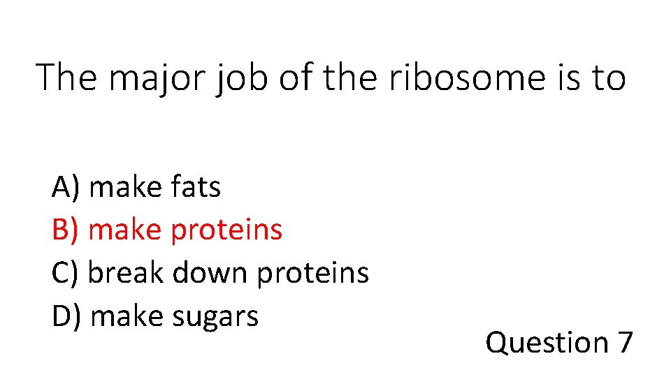 The major job of the ribosome is to A) make fats B) make proteins