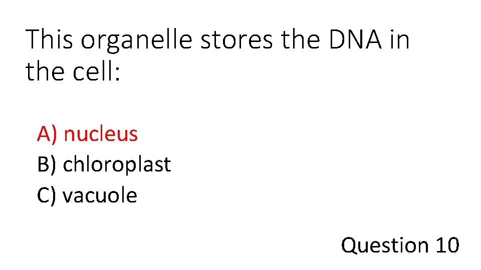 This organelle stores the DNA in the cell: A) nucleus B) chloroplast C) vacuole