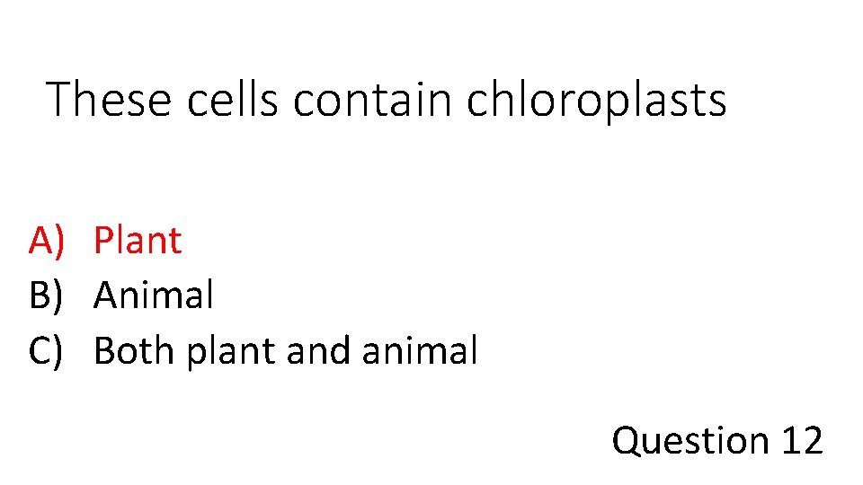 These cells contain chloroplasts A) Plant B) Animal C) Both plant and animal Question