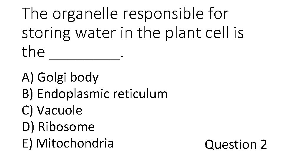 The organelle responsible for storing water in the plant cell is the ____. A)