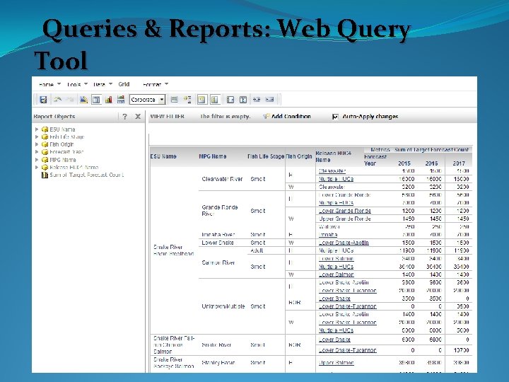 Queries & Reports: Web Query Tool 
