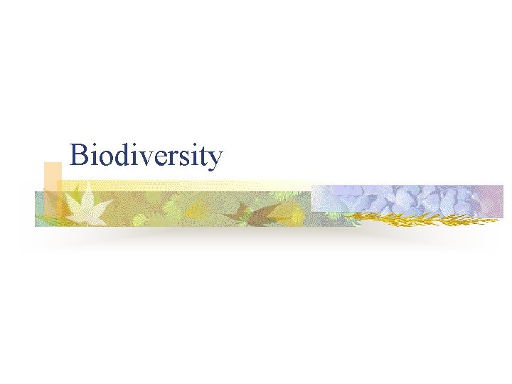 Biodiversity 