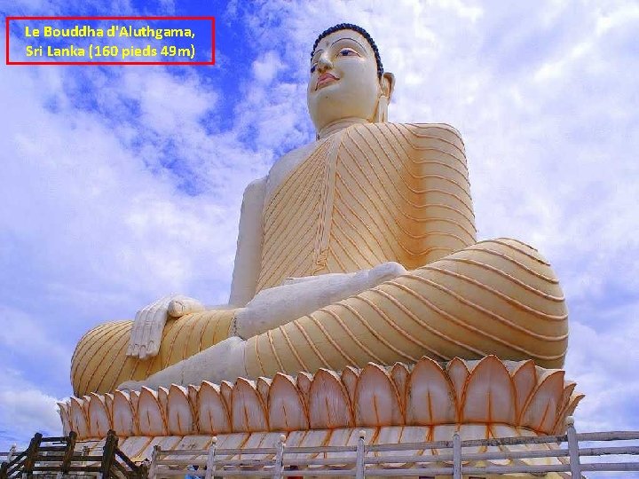 Le Bouddha d'Aluthgama, Sri Lanka (160 pieds 49 m) 