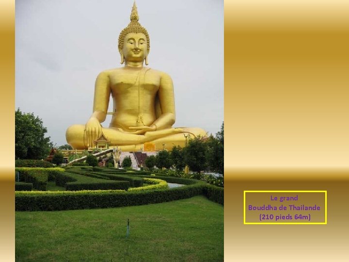Le grand Bouddha de Thailande (210 pieds 64 m) 