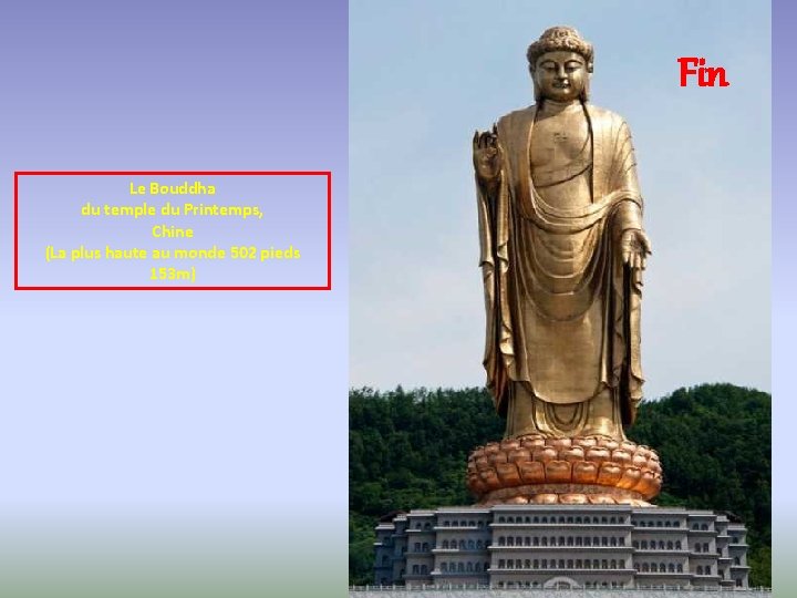 Fin Le Bouddha du temple du Printemps, Chine (La plus haute au monde 502