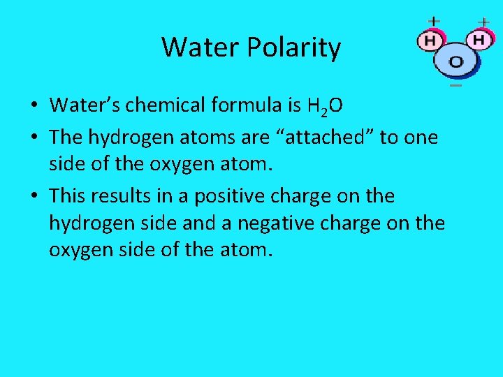 Water Polarity • Water’s chemical formula is H 2 O • The hydrogen atoms