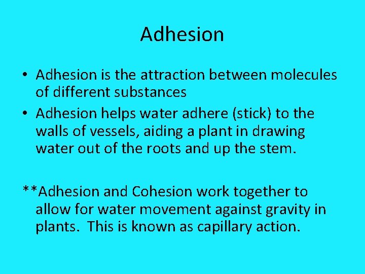 Adhesion • Adhesion is the attraction between molecules of different substances • Adhesion helps