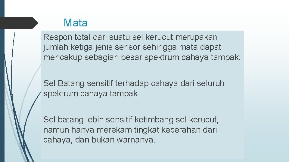 Mata Respon total dari suatu sel kerucut merupakan jumlah ketiga jenis sensor sehingga mata