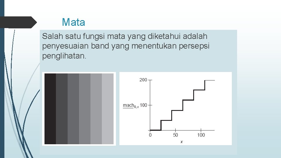 Mata Salah satu fungsi mata yang diketahui adalah penyesuaian band yang menentukan persepsi penglihatan.