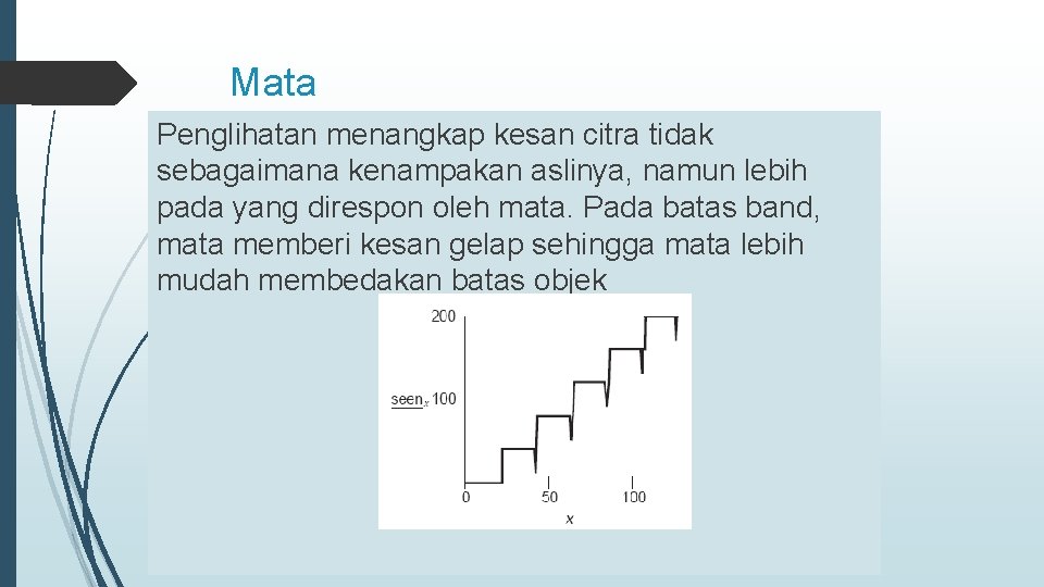 Mata Penglihatan menangkap kesan citra tidak sebagaimana kenampakan aslinya, namun lebih pada yang direspon