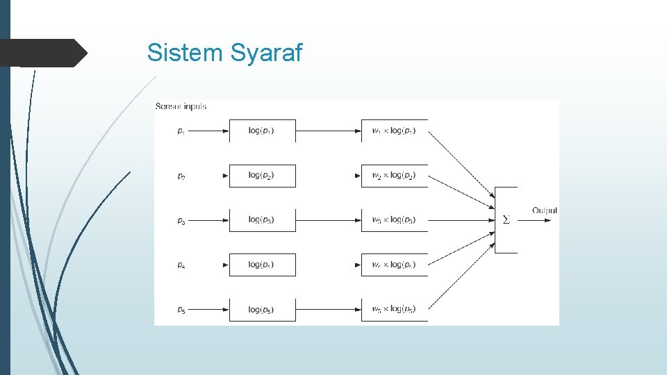 Sistem Syaraf 