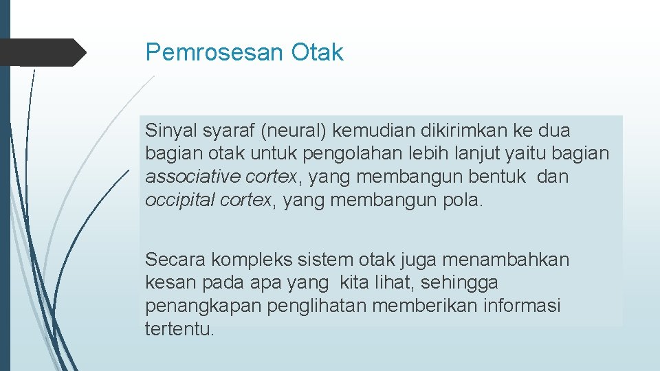 Pemrosesan Otak Sinyal syaraf (neural) kemudian dikirimkan ke dua bagian otak untuk pengolahan lebih