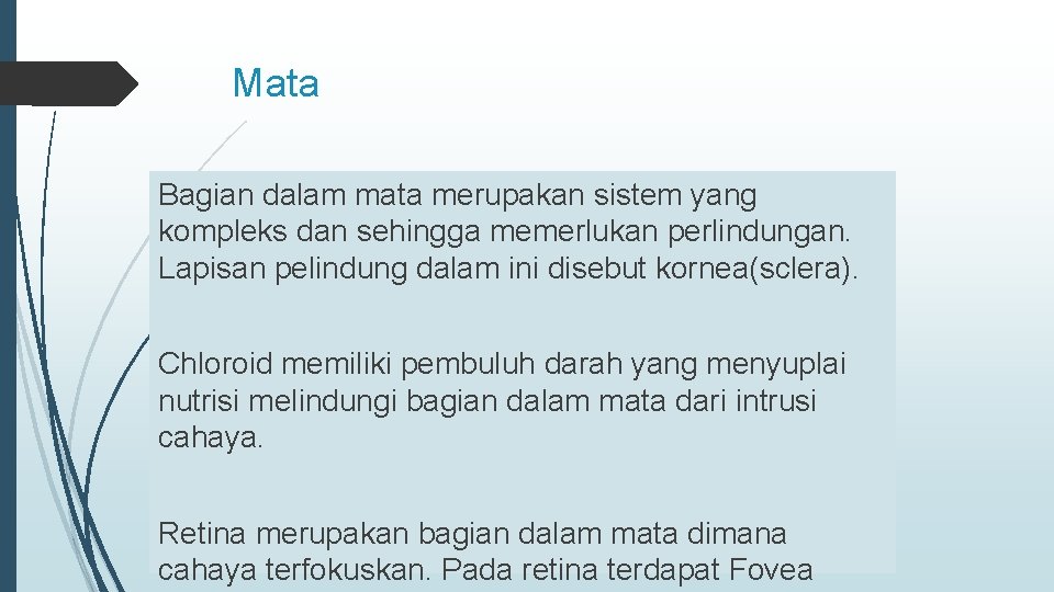 Mata Bagian dalam mata merupakan sistem yang kompleks dan sehingga memerlukan perlindungan. Lapisan pelindung