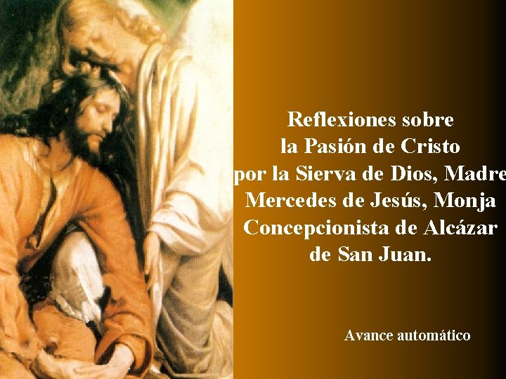 Reflexiones sobre la Pasión de Cristo por la Sierva de Dios, Madre Mercedes de