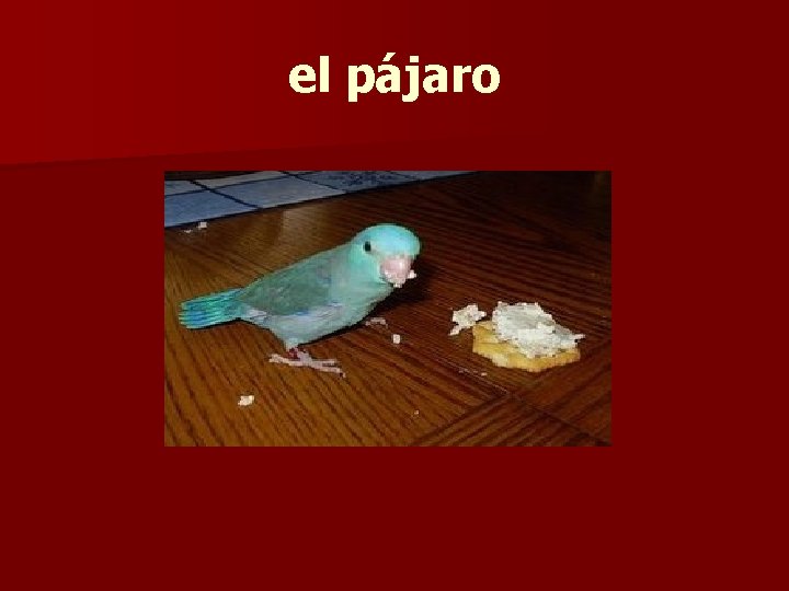 el pájaro 