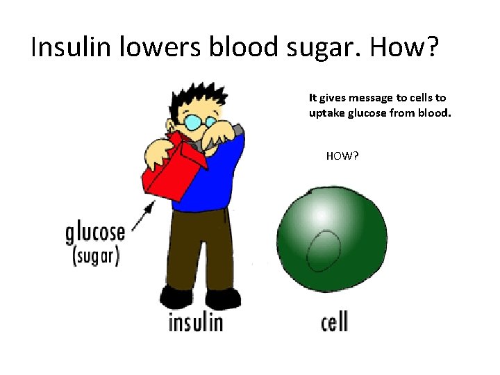 Insulin lowers blood sugar. How? It gives message to cells to uptake glucose from