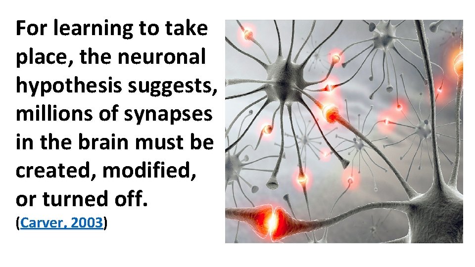 For learning to take place, the neuronal hypothesis suggests, millions of synapses in the