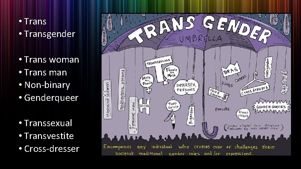 • Transgender • Trans woman • Trans man • Non-binary • Genderqueer • • Transgender • Trans woman • Trans man • Non-binary • Genderqueer •