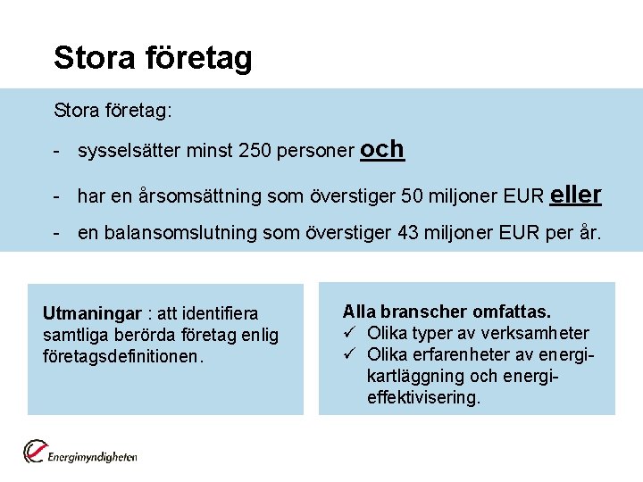 Stora företag: - sysselsätter minst 250 personer och - har en årsomsättning som överstiger