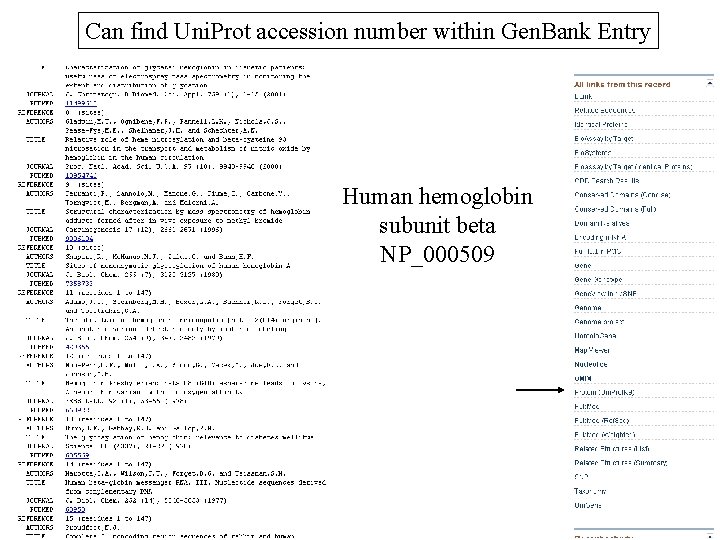 Can find Uni. Prot accession number within Gen. Bank Entry Human hemoglobin subunit beta