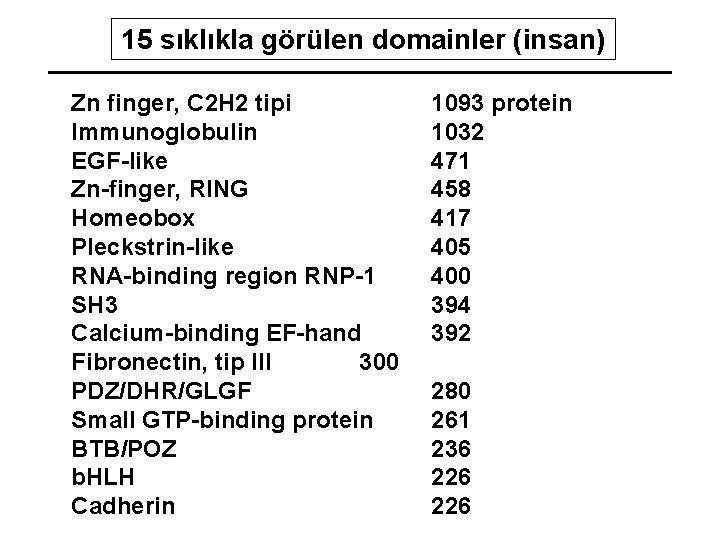 15 sıklıkla görülen domainler (insan) Zn finger, C 2 H 2 tipi Immunoglobulin EGF-like