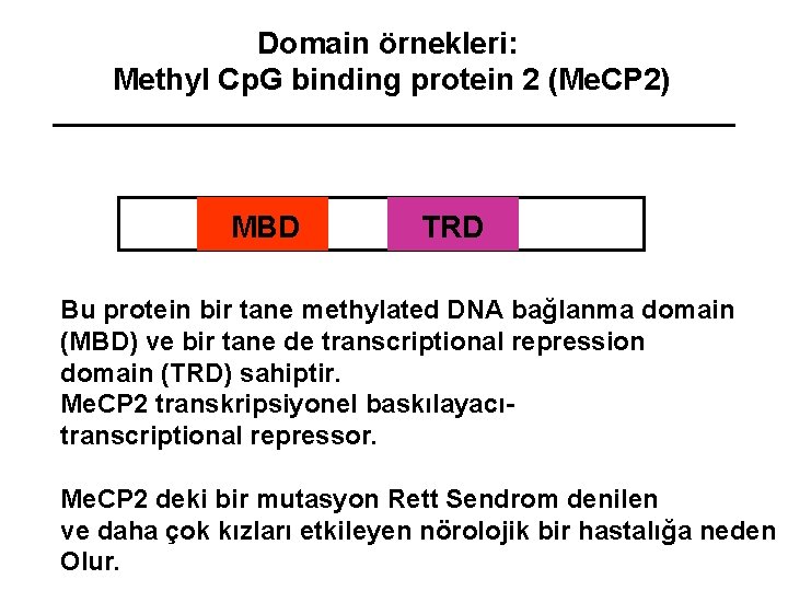 Domain örnekleri: Methyl Cp. G binding protein 2 (Me. CP 2) MBD TRD Bu