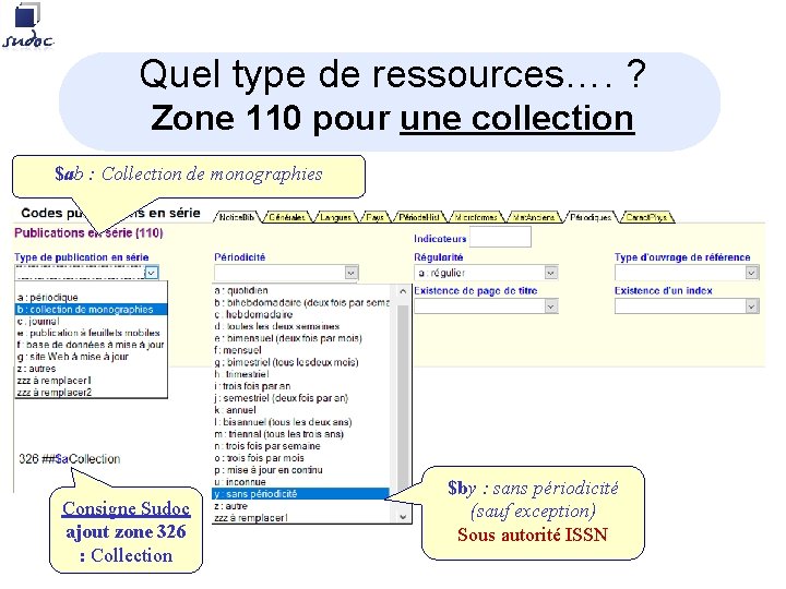 Quel type de ressources…. ? Zone 110 pour une collection $ab : Collection de