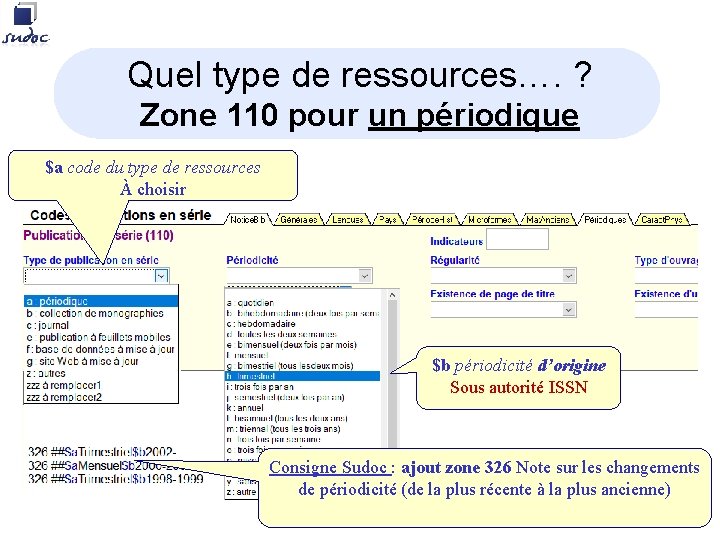 Quel type de ressources…. ? Zone 110 pour un périodique $a code du type