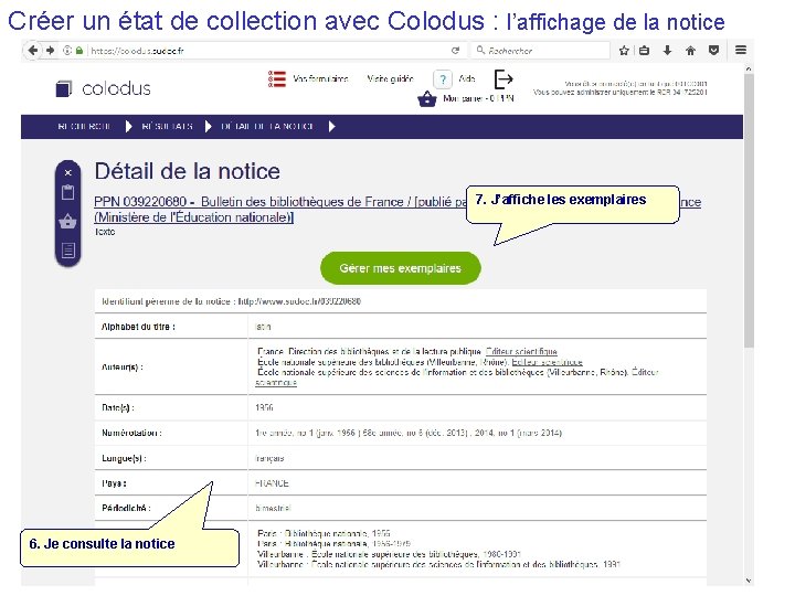 Créer un état de collection avec Colodus : l’affichage de la notice 7. J’affiche
