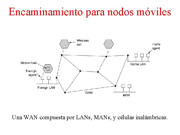 Encaminamiento para nodos móviles Una WAN compuesta por LANs, MANs, y células inalámbricas. 