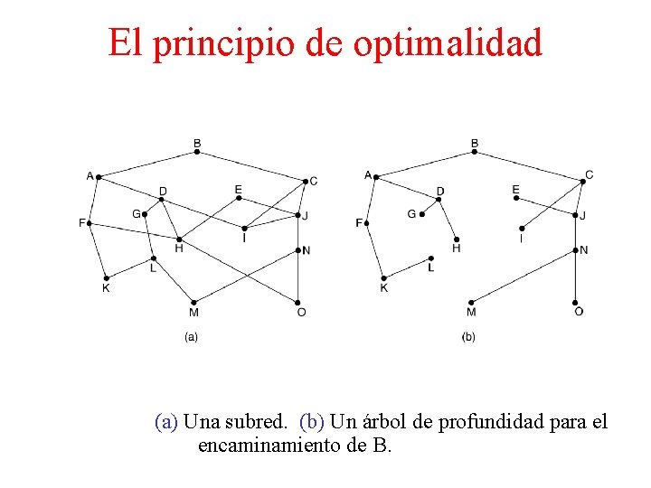 El principio de optimalidad (a) Una subred. (b) Un árbol de profundidad para el