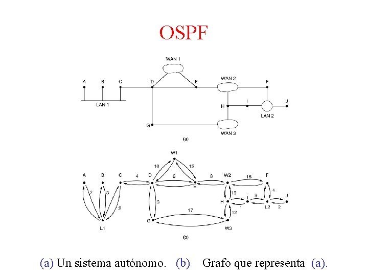 OSPF (a) Un sistema autónomo. (b) Grafo que representa (a). 