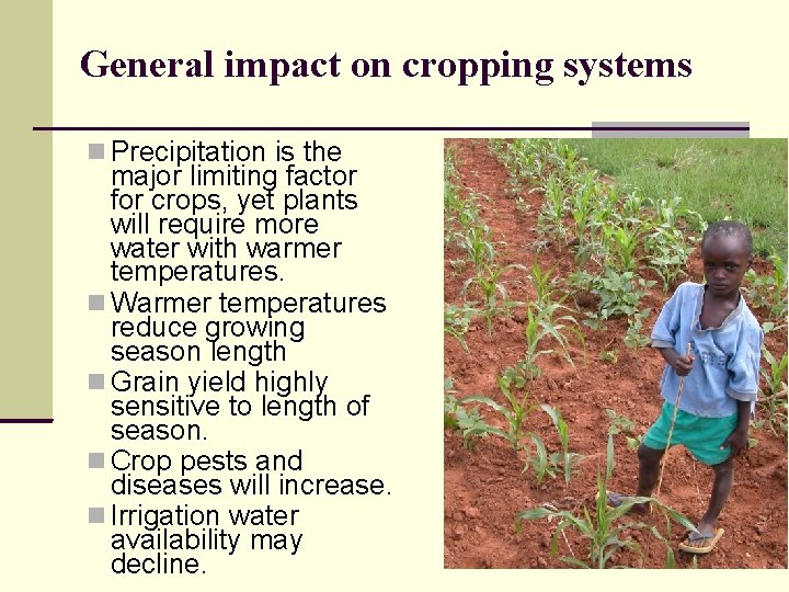 General impact on cropping systems Precipitation is the major limiting factor for crops, yet