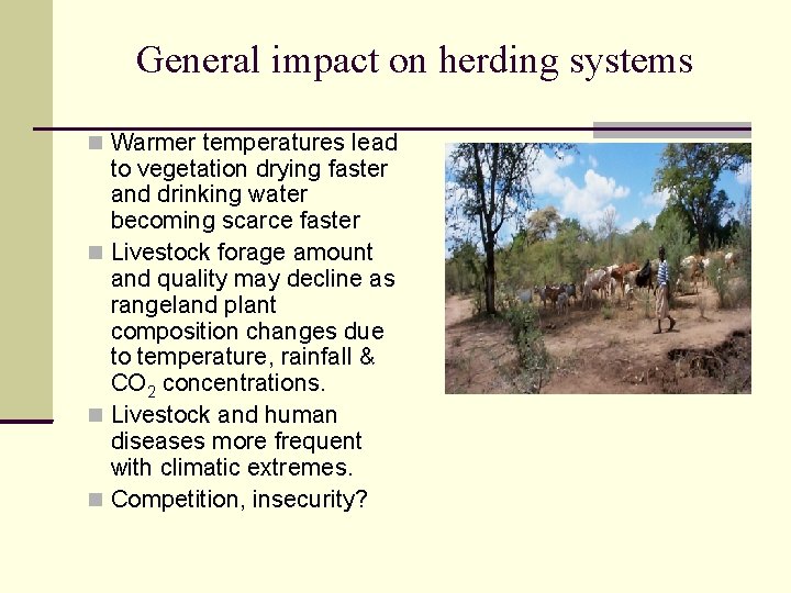 General impact on herding systems Warmer temperatures lead to vegetation drying faster and drinking