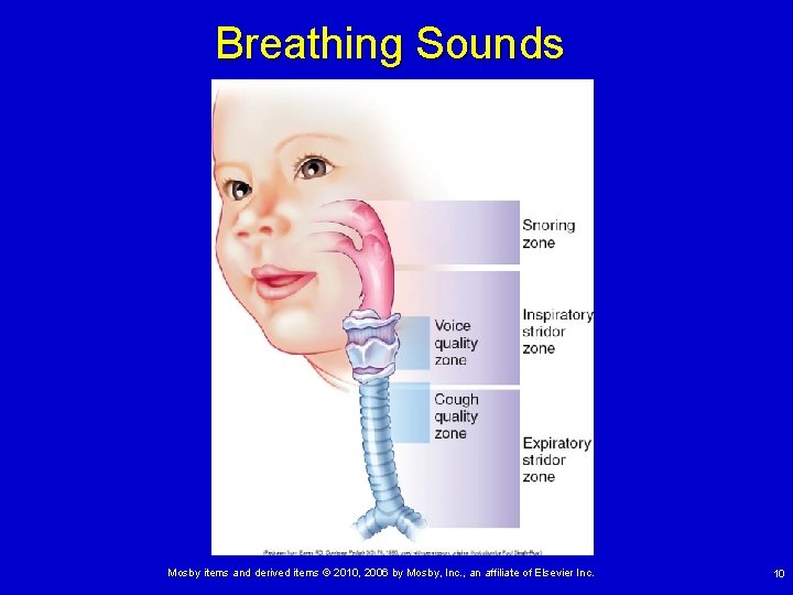 Breathing Sounds Mosby items and derived items © 2010, 2006 by Mosby, Inc. , Breathing Sounds Mosby items and derived items © 2010, 2006 by Mosby, Inc. ,
