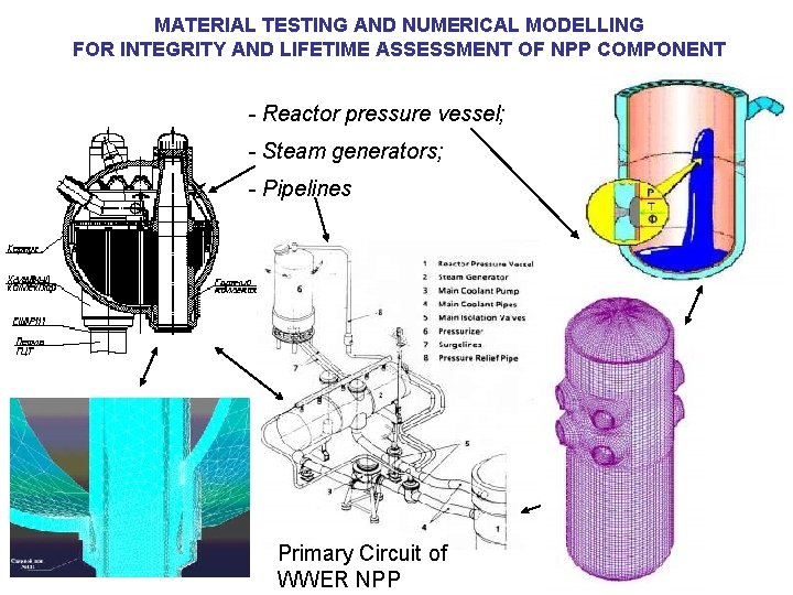 MATERIAL TESTING AND NUMERICAL MODELLING FOR INTEGRITY AND LIFETIME ASSESSMENT OF NPP COMPONENT -
