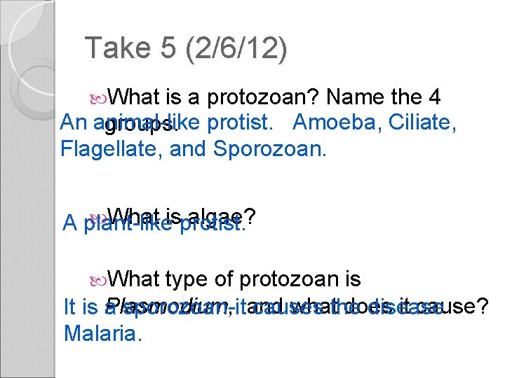Take 5 (2/6/12) What is a protozoan? Name the 4 An animal-like protist. Amoeba,