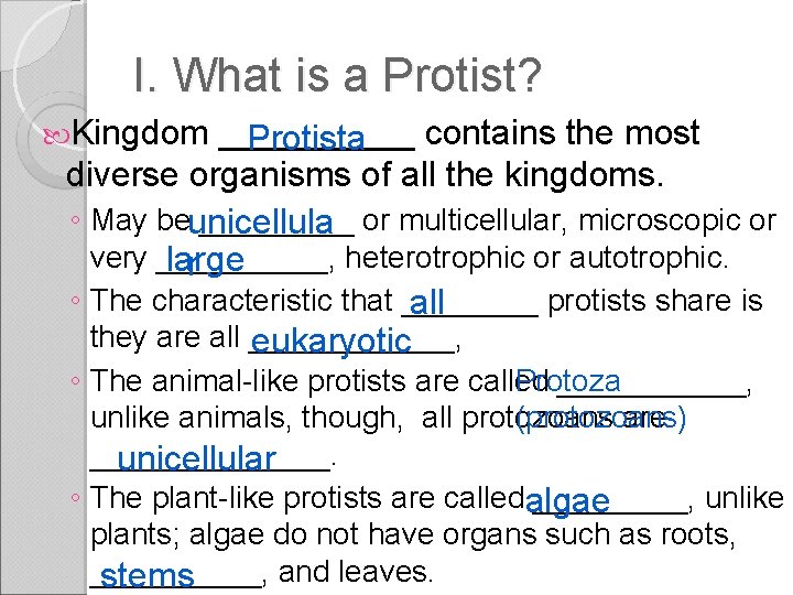 I. What is a Protist? Kingdom _____ contains the most Protista diverse organisms of