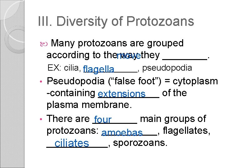 III. Diversity of Protozoans Many protozoans are grouped according to the way they ____.