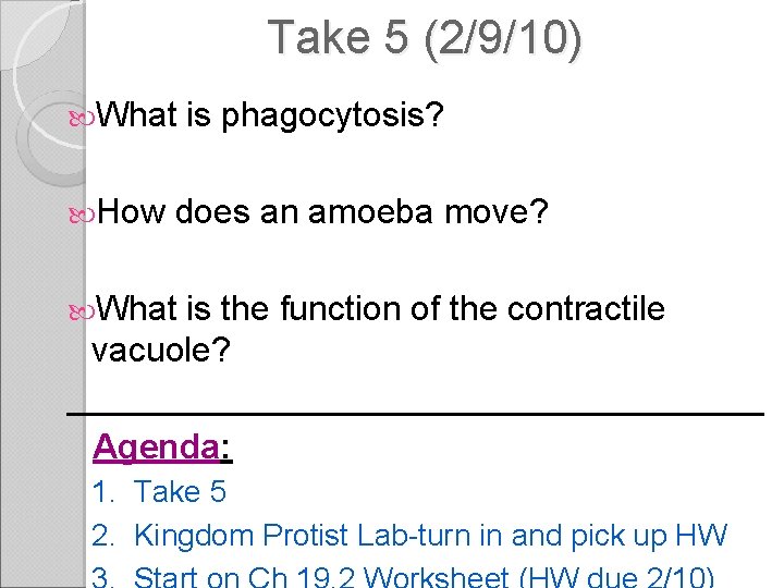 Take 5 (2/9/10) What is phagocytosis? How does an amoeba move? What is the