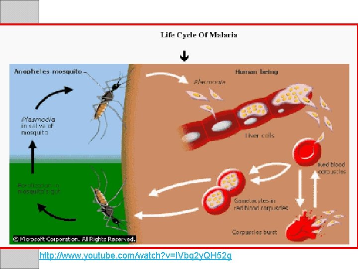 http: //www. youtube. com/watch? v=IVbq 2 y. QH 52 g 