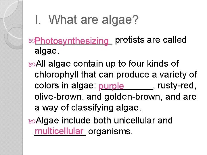 I. What are algae? Photosynthesizing ________ protists are called algae. All algae contain up