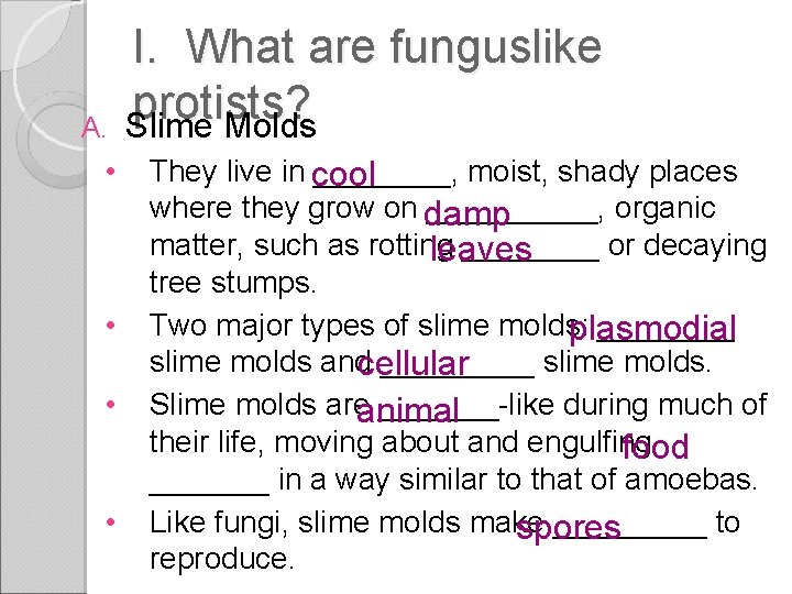 A. • • I. What are funguslike protists? Slime Molds They live in ____,