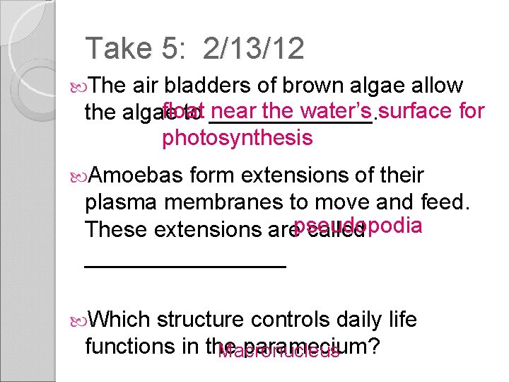 Take 5: 2/13/12 The air bladders of brown algae allow float near the water’s